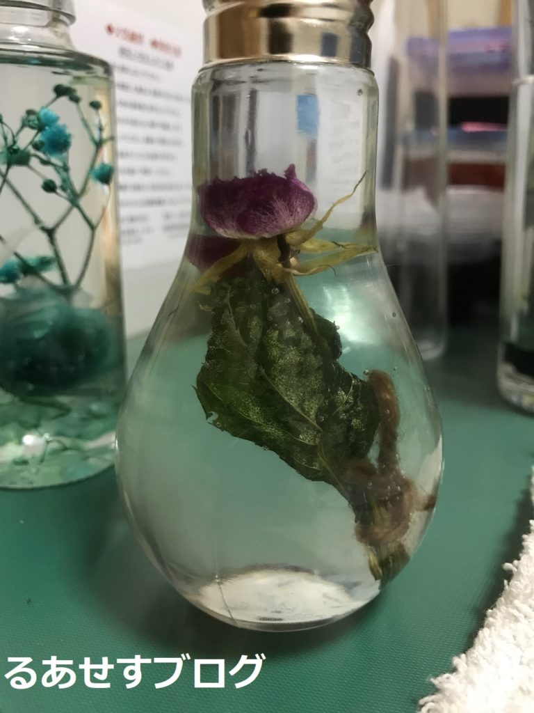 初心者 ハーバリウムの作り方 寿命について おすすめ るあせすブログ 初心者 ハーバリウムの作り方 寿命について おすすめ るあせすブログ